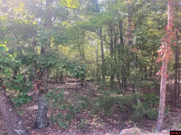 254 Tuscon Ln, Viola, AR 72583