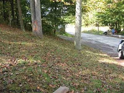 2nd image of 1187 Canyon Rd