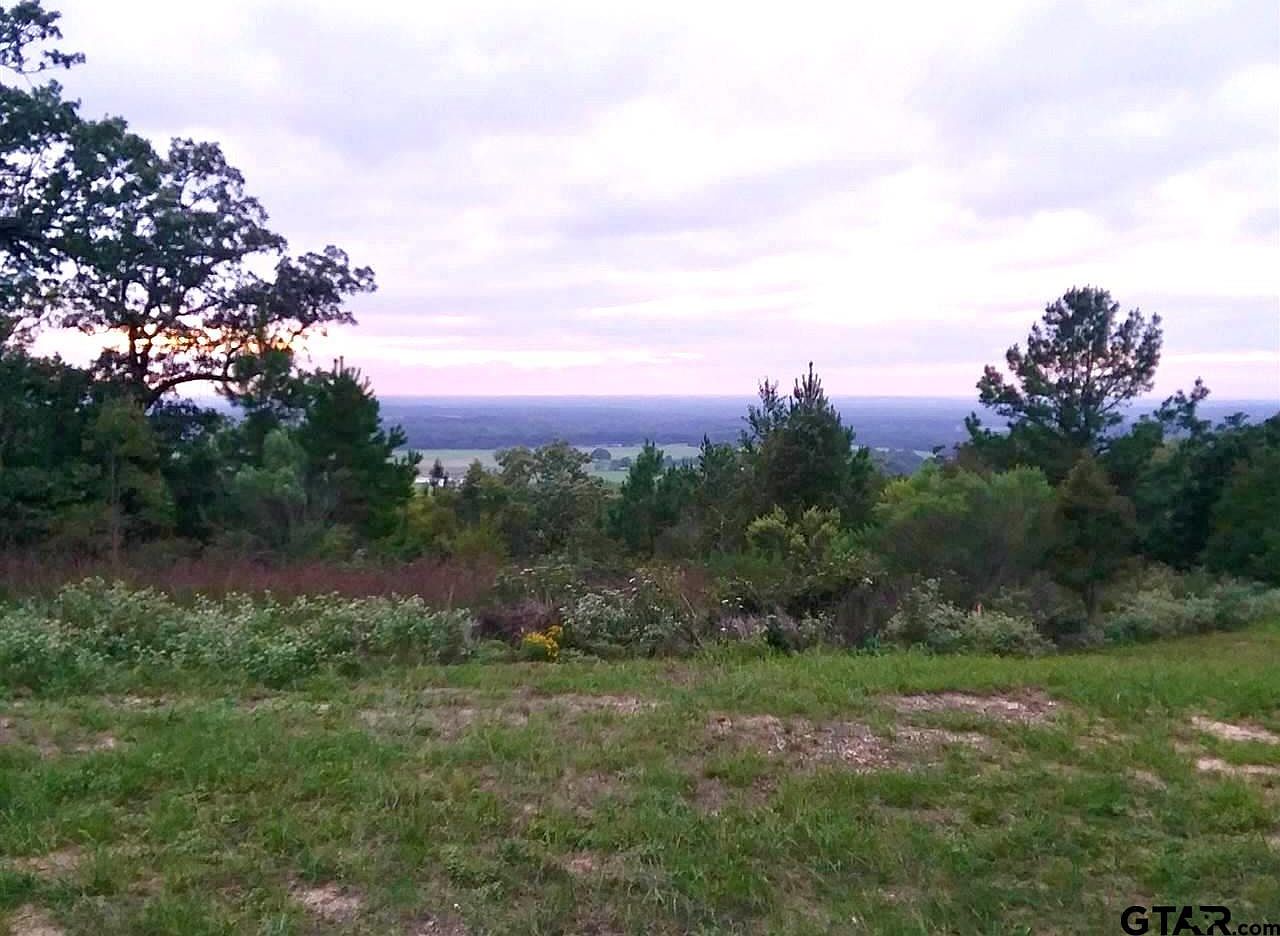 LOT 31 Acr 453, Montalba, TX 75853 MLS 24009643 Zillow