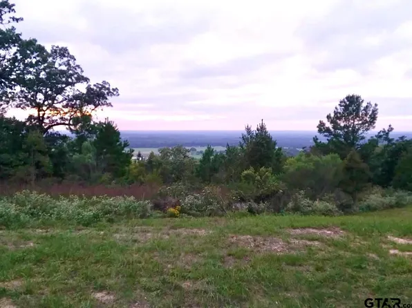 LOT 31 Acr 453 Lot 31, Montalba, TX 75853