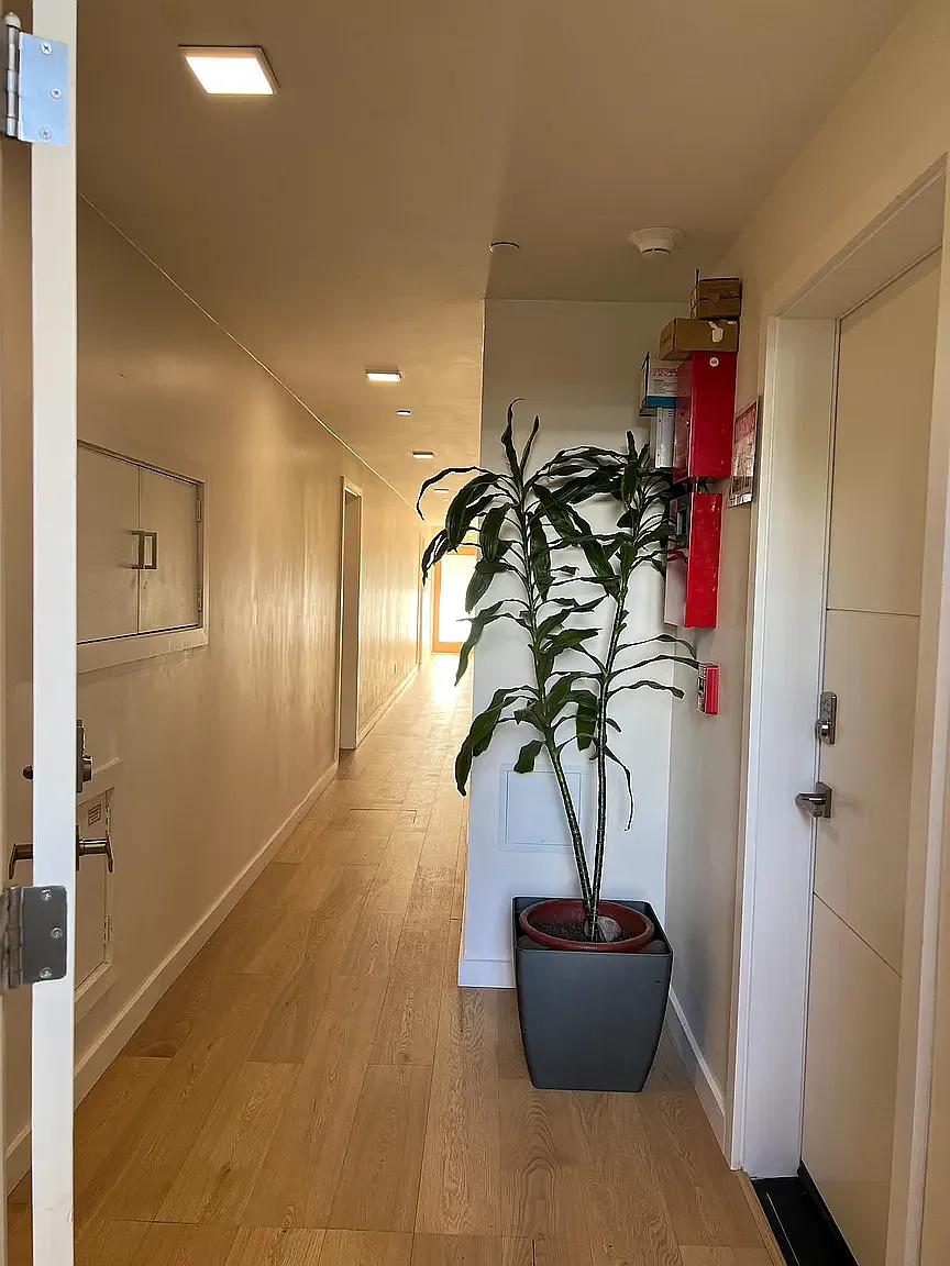 1031 Sanchez St — Photo 3