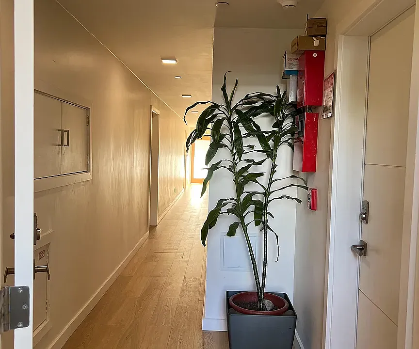 Hallway to apartment and apartment front door