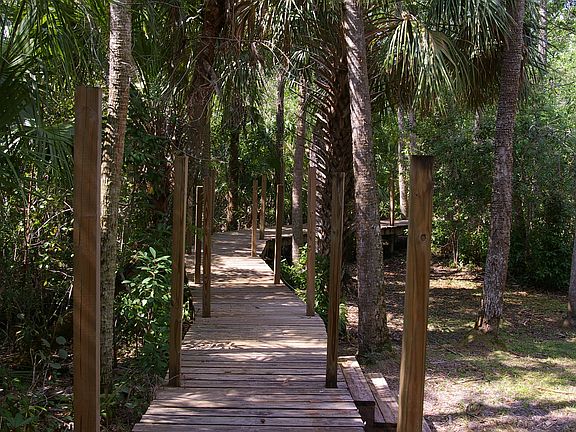 5th image of 2101 River Hammock Ln