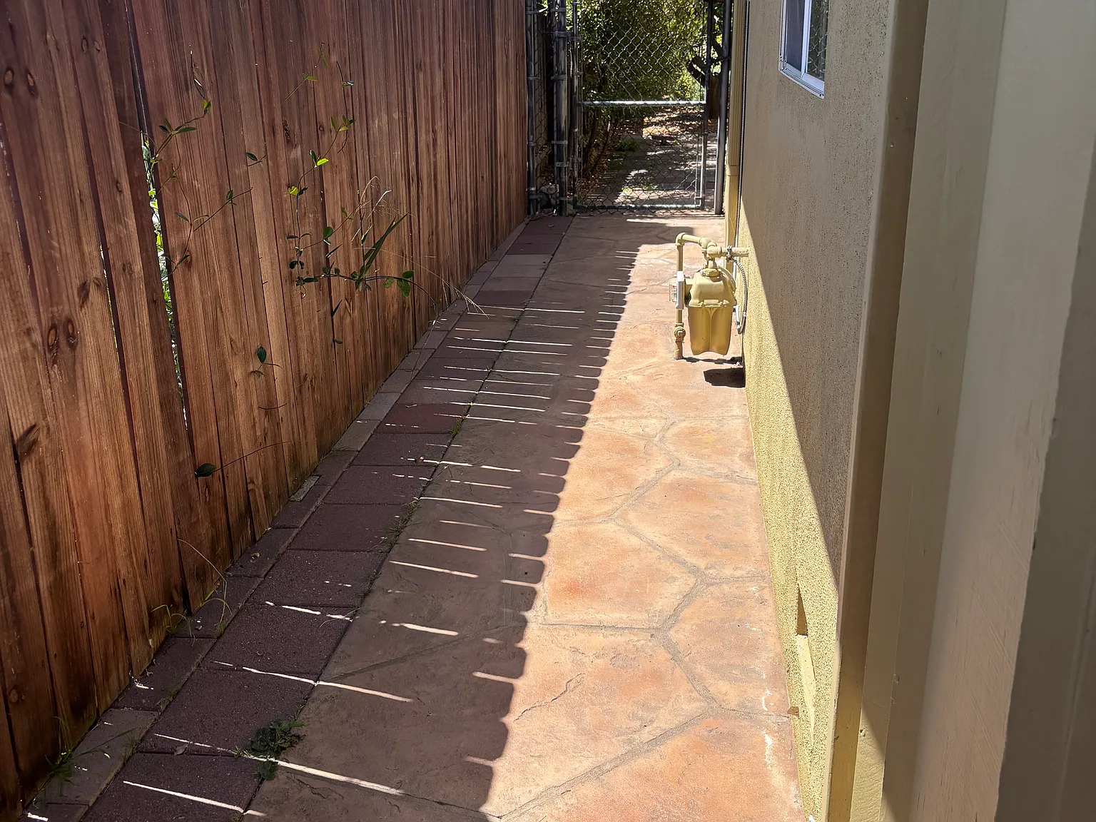 1 bed, 800 sqft, $1,800 — Photo 1