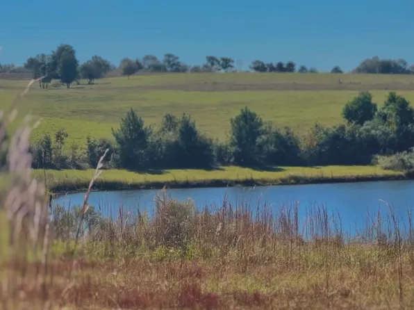 0 Culpepper Rd, Coffee Springs, AL 36318