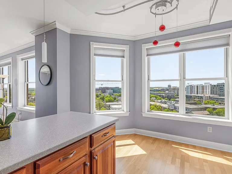 360 W Washington Ave #1001 — Photo 17