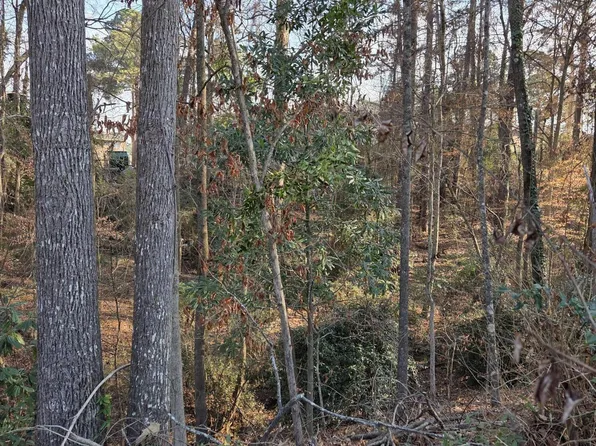 1976 Long Ridge Dr, Macon, GA 31211