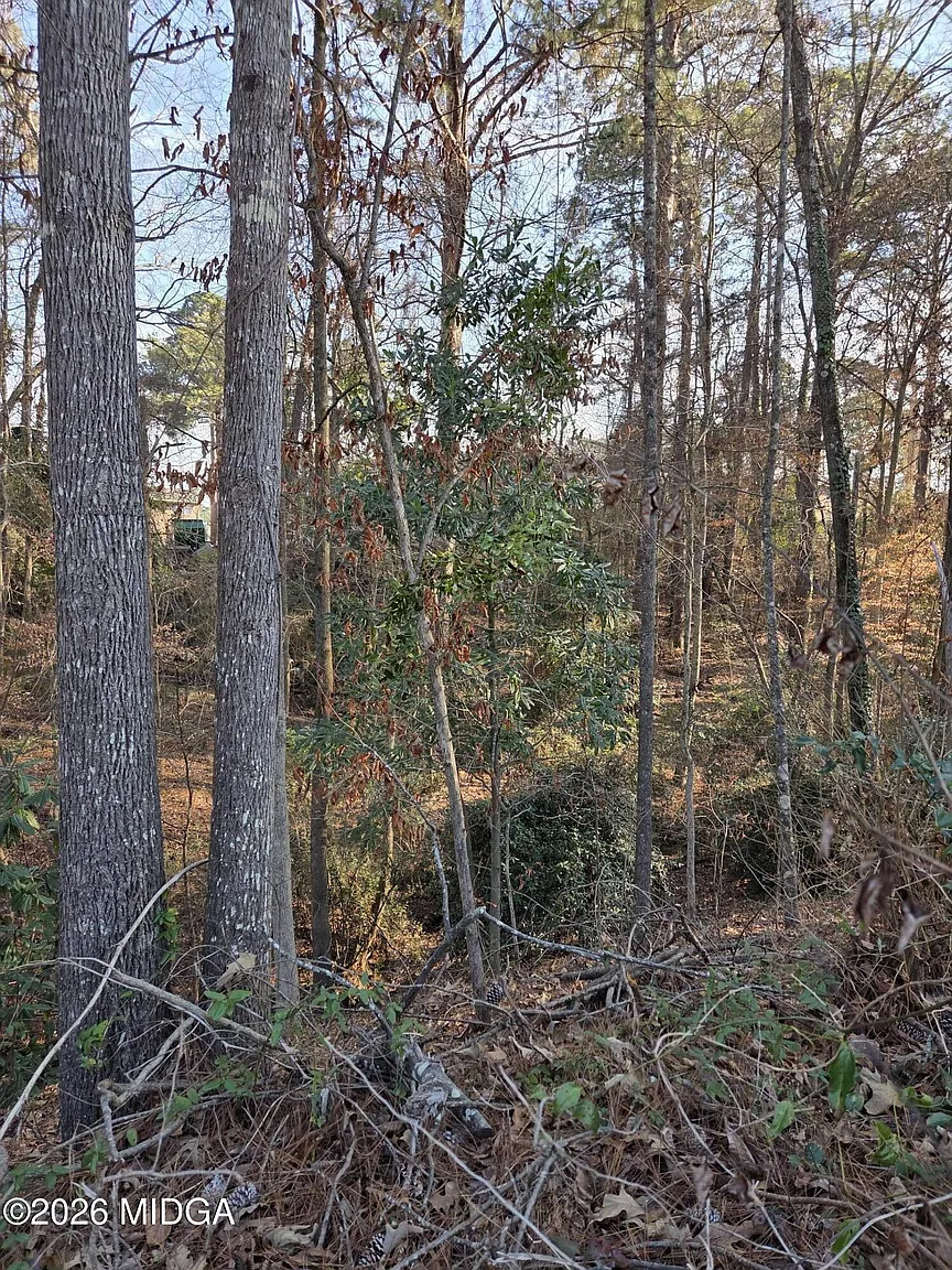 1976 Long Ridge Dr photo 1