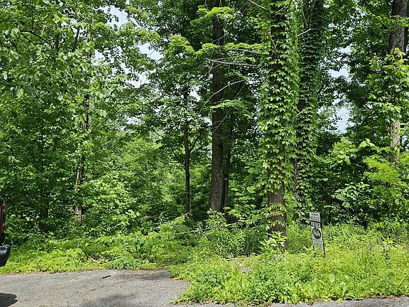 5th image of 535 Forest Springs Dr