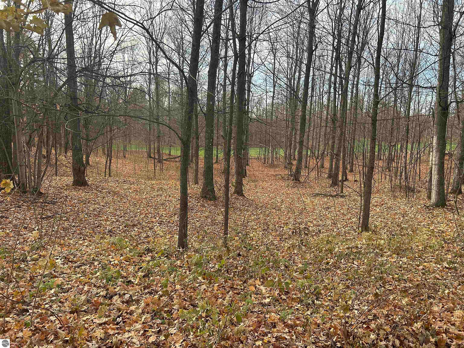 7 White Tail Dr