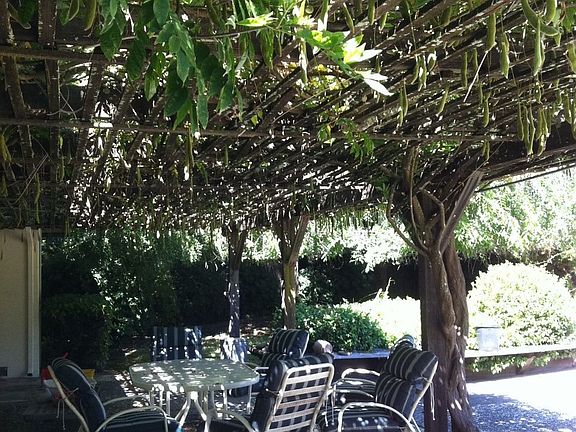 Trellissed outdoor areas are perfect for entertaining on sunny days