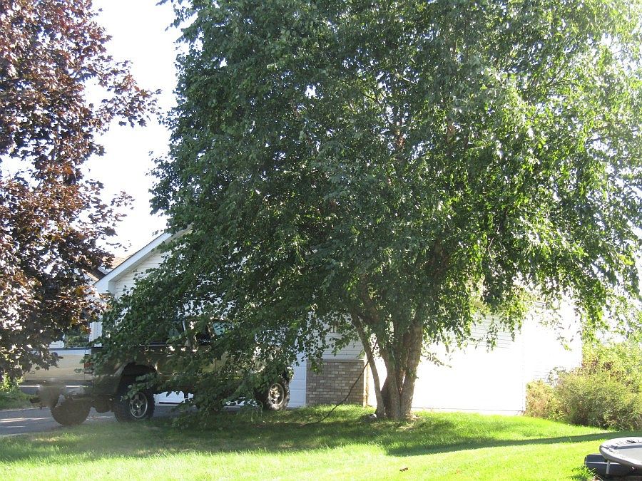 2nd image of 25897 12th St W