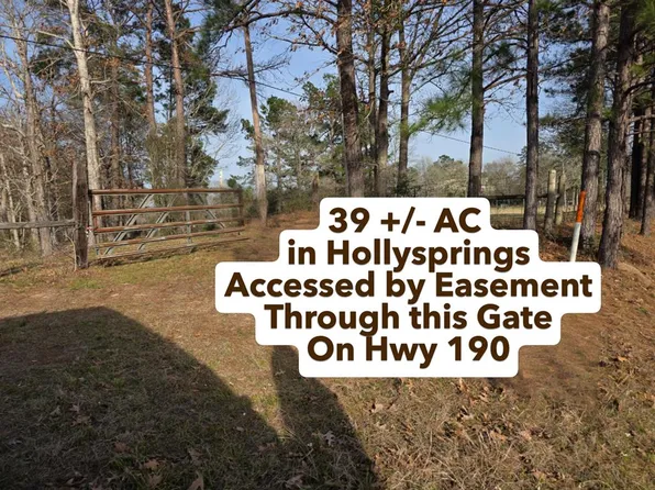 39.088 Ac Hwy #190-E, Jasper, TX 75951