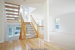 3rd image of 13718 Frankford Cir