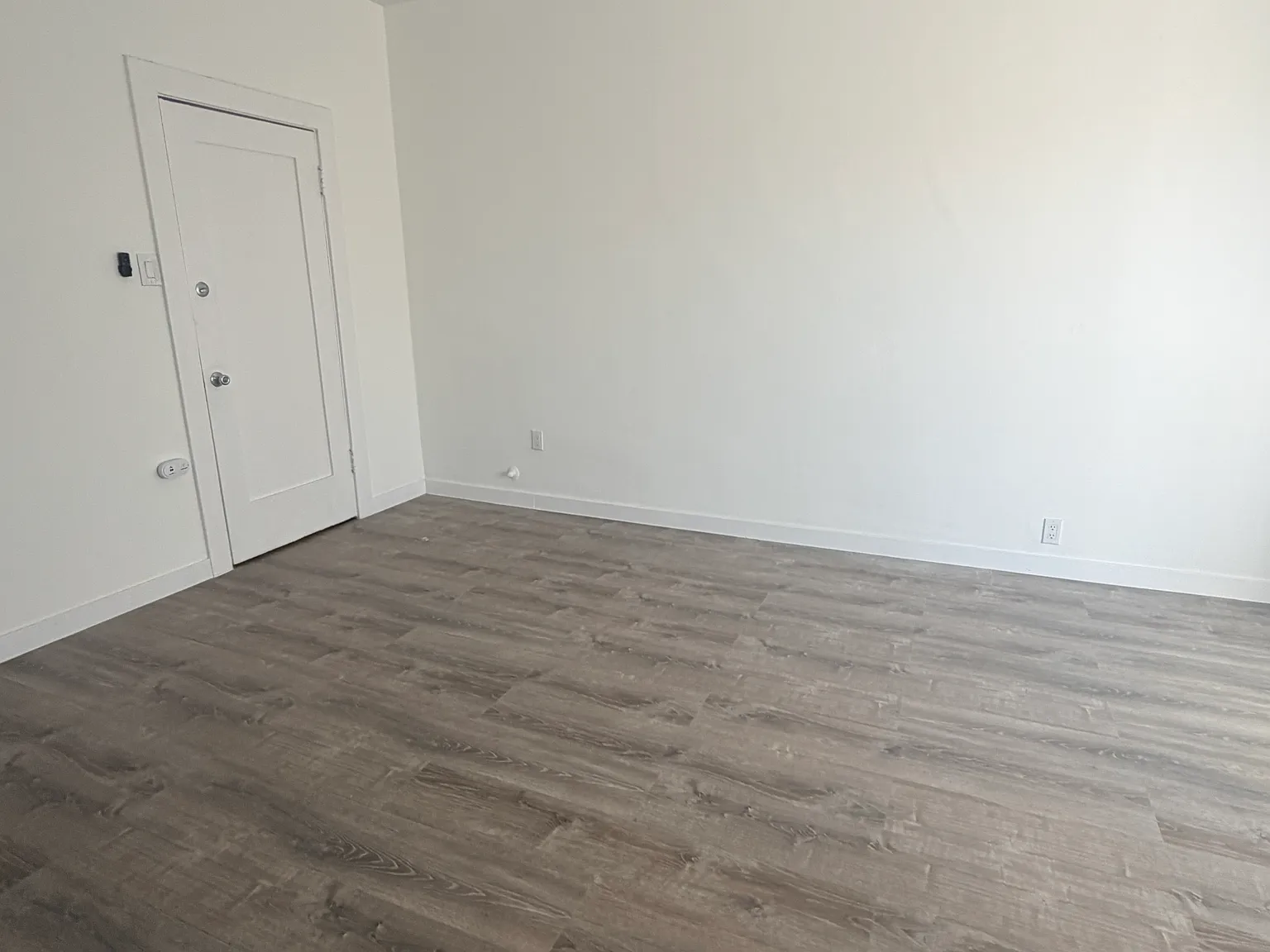 Studio, $1,395 — Photo 3
