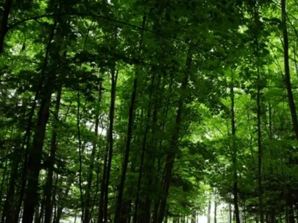 map 49 lot30 stratford Drive, Barnstead, NH 03281