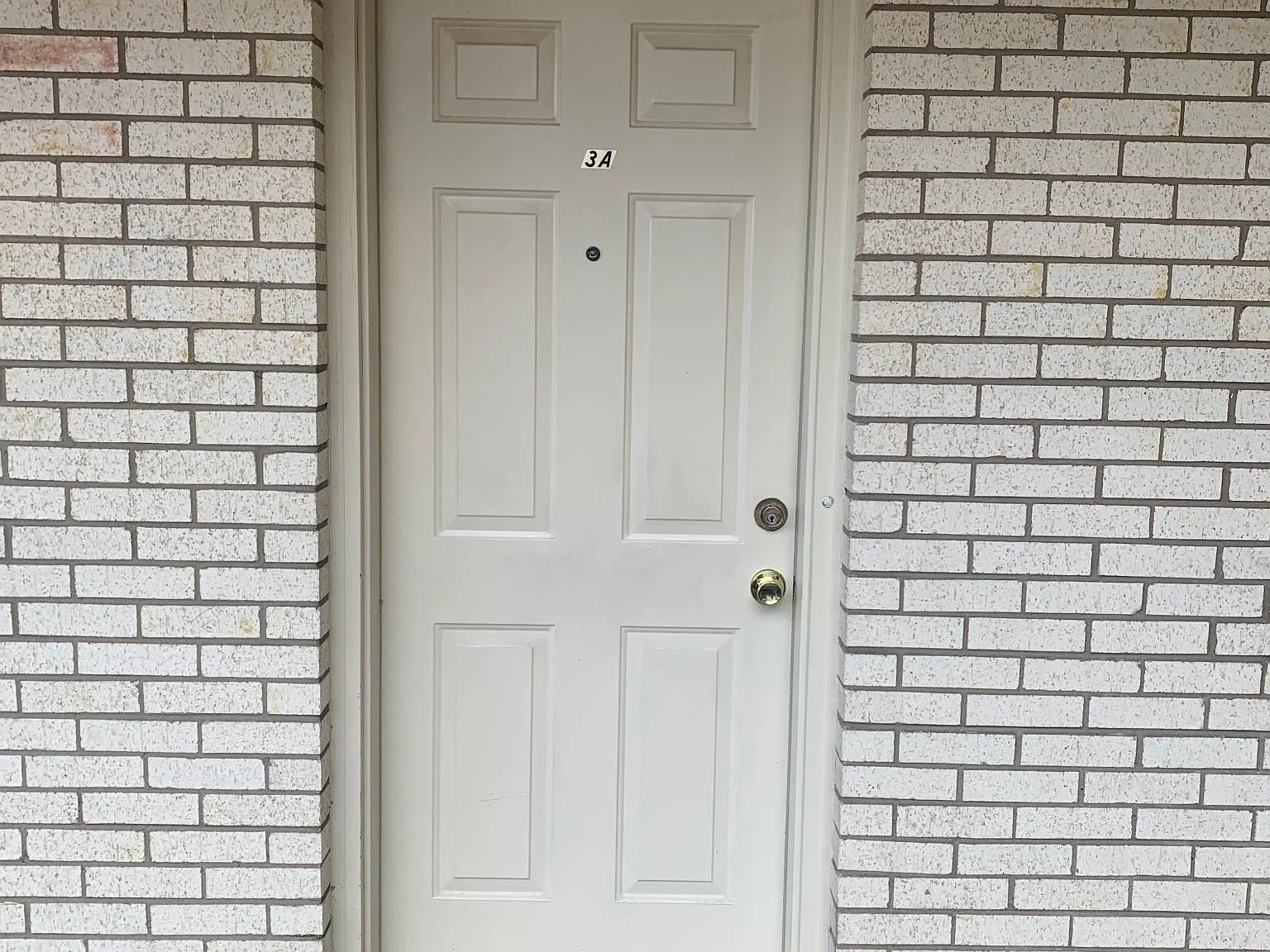 1 bed, 800 sqft, $1,095 — Photo 3