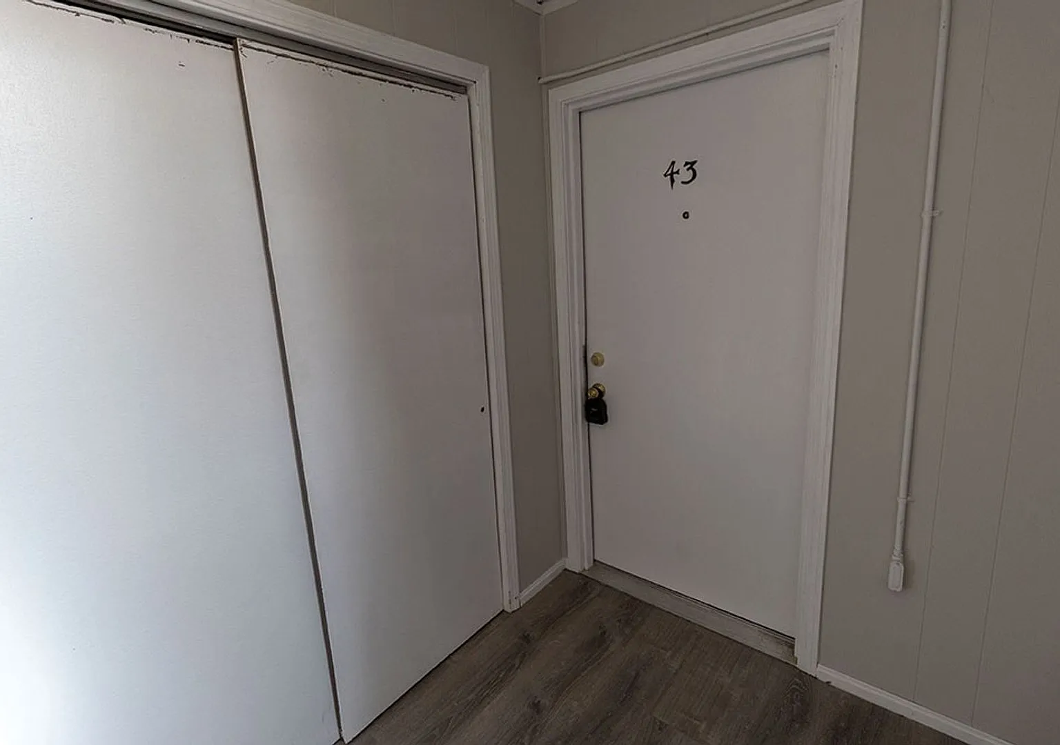 Cute Southside 1BD Apartment - Lower — Photo 3