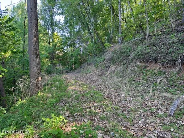 Dove View Rd Lot 13, Sevierville, TN 37862