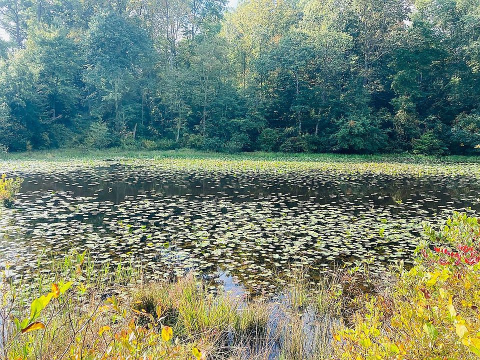 Beautiful large Creek