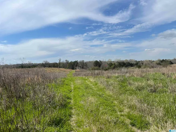 633-A County Rd #83-1, Clanton, AL 35046