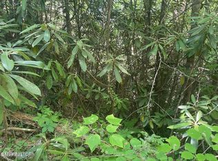 89 Sycamore Dr Lot 89, Sevierville, TN 37876