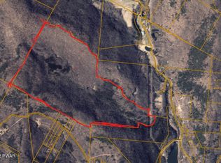 Coles Clove Rd, Delancey, NY 13752