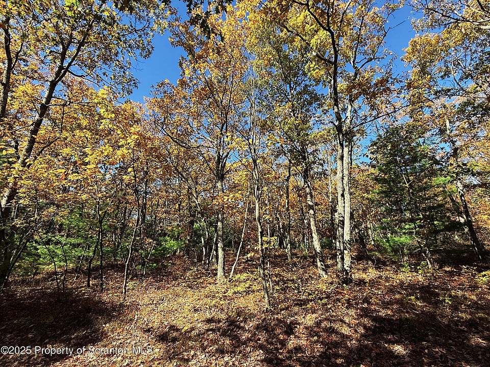 2nd image of Oak Ridge Dr #145
