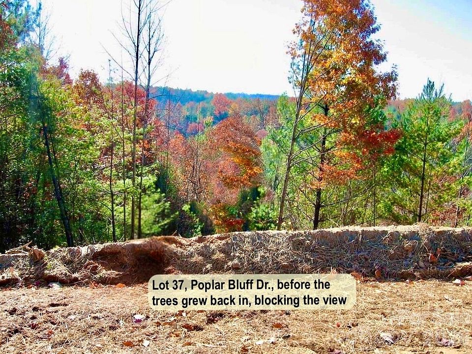 1st image of LOT 37 Poplar Bluff Dr SE