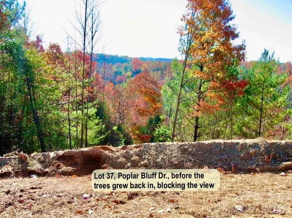 LOT 37 Poplar Bluff Dr SE, Lenoir, NC 28645