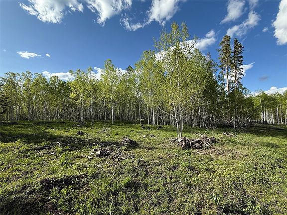 3rd image of TBD Halter Trail