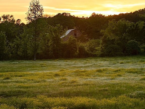2nd image of 988 Harlon Ryan Rd