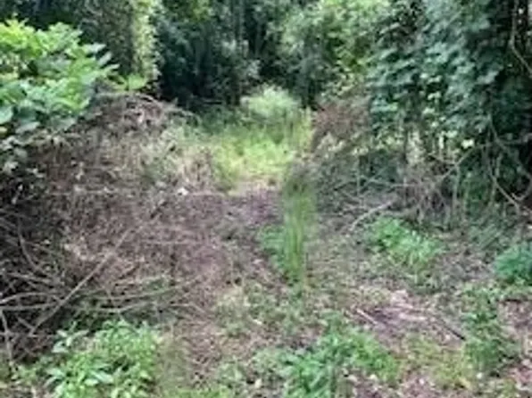 Hicks St, Luverne, AL 36049