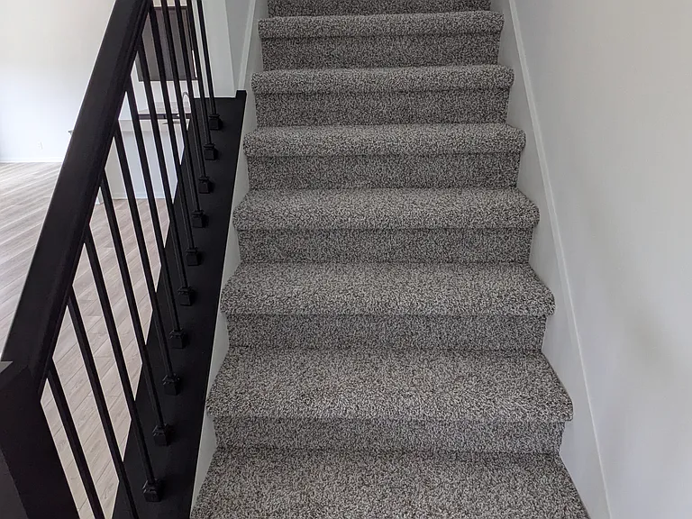 6310 Lobelia Ct — Photo 11