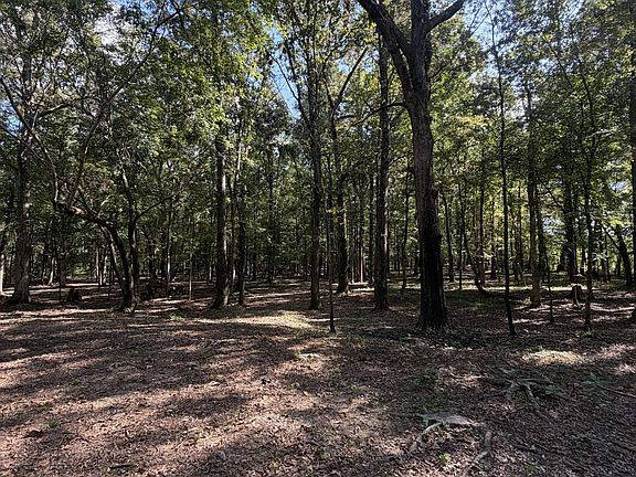 4th image of 0 Lakewood Park Rd Lot 15
