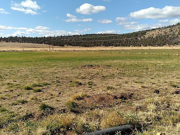 Back pasture