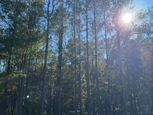 606 Bendigo Psge SE Lot 527, Bolivia, NC 28422