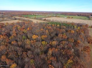 10725 Fowler Rd, Hanover, MI 49241