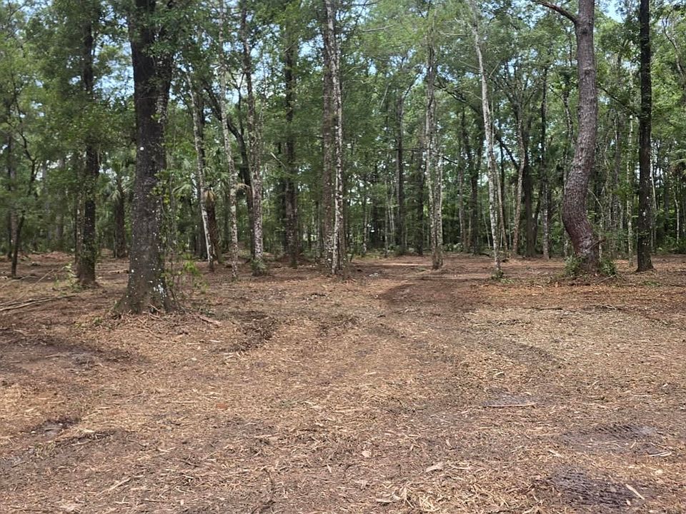 2nd image of 10435 E DEEP CREEK Boulevard