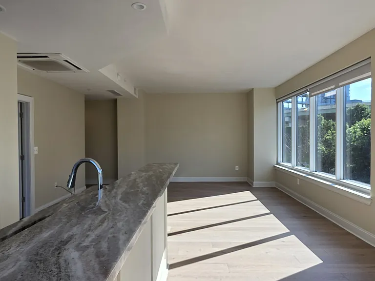 252 N Christopher Columbus Blvd #303 — Photo 7