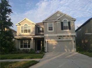 19229 Early Violet Dr, Tampa, FL 33647