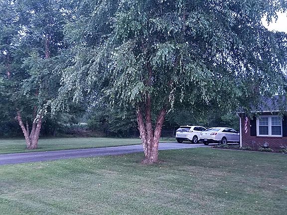 Beautiful front yard