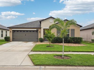 13230 Wildflower Meadow Dr, Riverview, FL, 33579