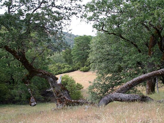 5th image of 1482 Boonville Road