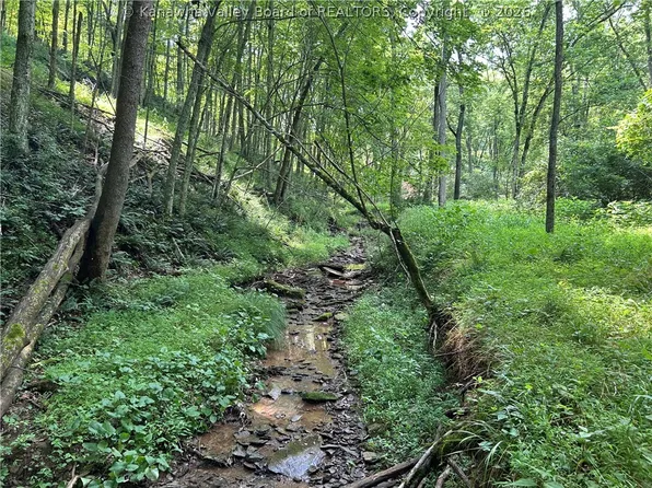 1640 Charleston Rd, Spencer, WV 25276