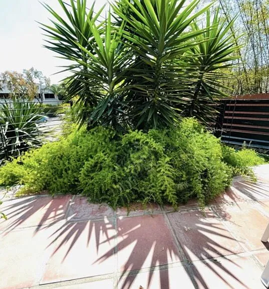 119 Paloma Ave #D — Photo 15
