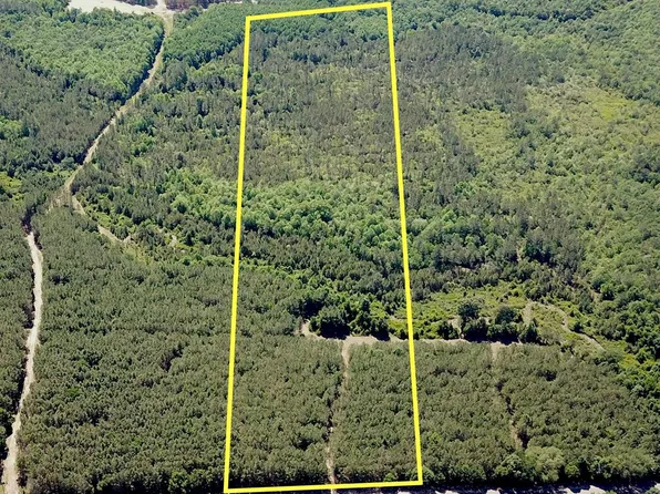 19.827 Acres Tract #10, Cottonwood, AL 36320