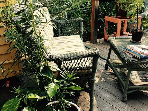 Back deck