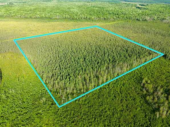 Krolik Rd, Baraga, MI 49908