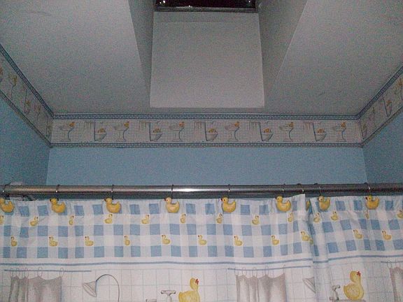 Sky Light in Main Bath